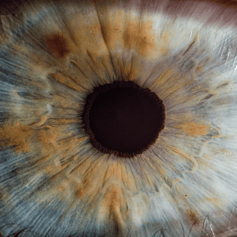 Benefits of Iridology | Utah Iridologist